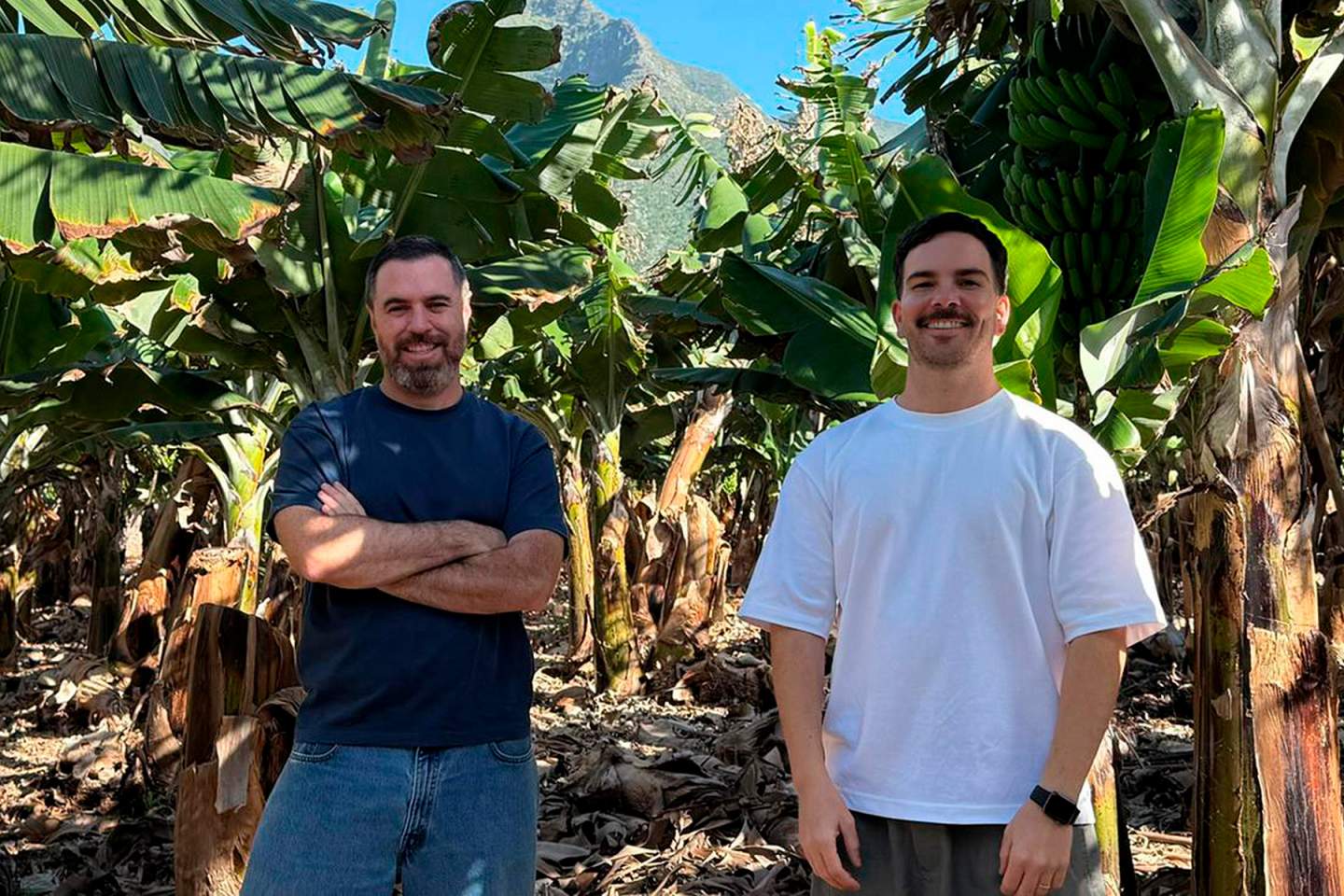 El superalimento canario que sueña con traspasar fronteras