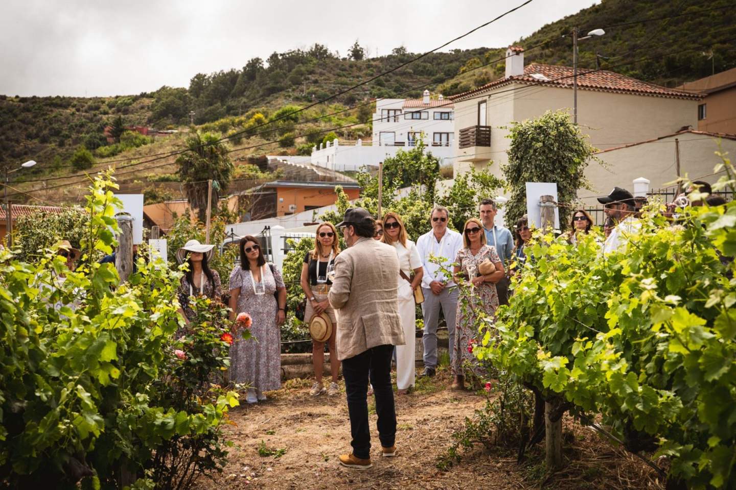 “Descorcha Canarias 2026” reúne a más de 600 personas en torno a los vinos de la DOP Islas Canarias – Canary Wine